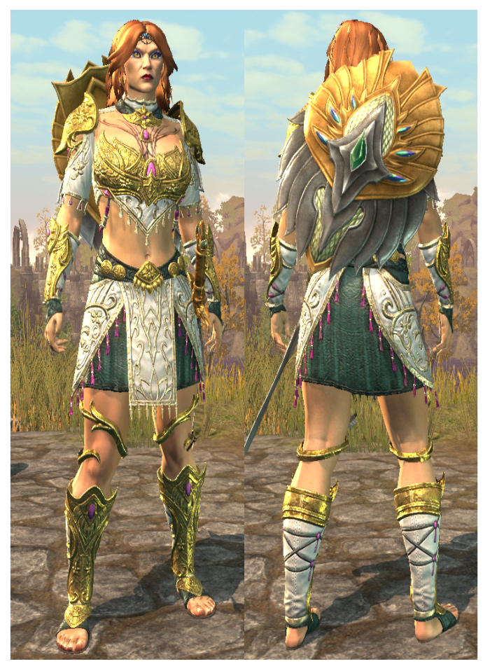 A high elf female in an ornate, white and shiny gold armour with a large, gold and silver shield on their back.